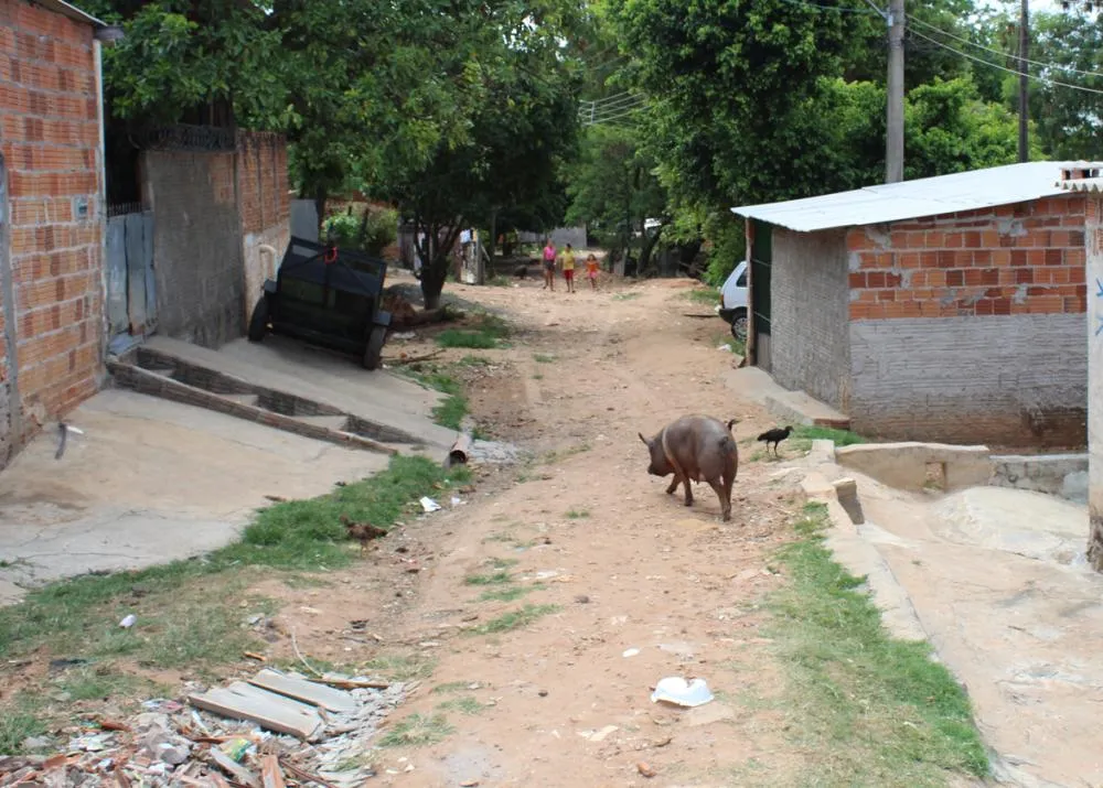 Campanha da Fraternidade destaca déficit habitacional e população em situação de rua