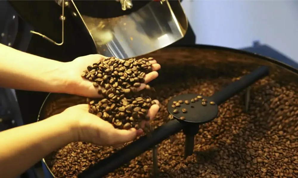O café beneficiado foi o principal produto da agropecuária na regional de Marília em 2025, movimentando R$ 640 milhões - Foto: Marcello Casal Jr/Agência Brasil