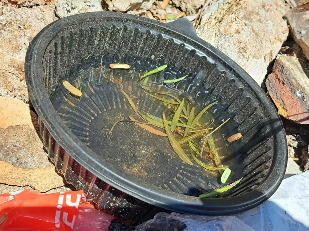 Enquanto em 2023 foram registradas 5 mortes, em 2024 esse número subiu para 19, representando um aumento de 280%