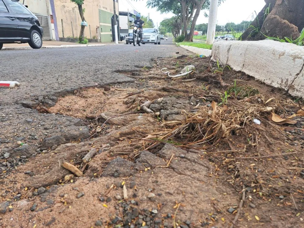 Buracos tomam conta da ciclofaixa e dificultam a circulação dos ciclistas na Avenida Luzia dos Santos Alves