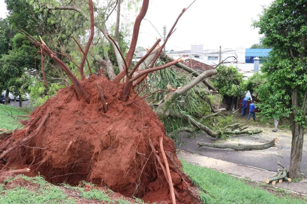 Prefeitura de Marília articula plano intersetorial para prevenção e resposta a desastres naturais e impactos do Super El Niño