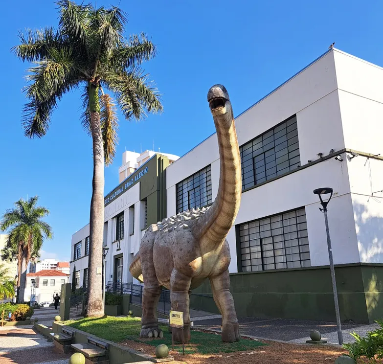 Foto: Cristiano Gonçalves/Jornal A Cidade