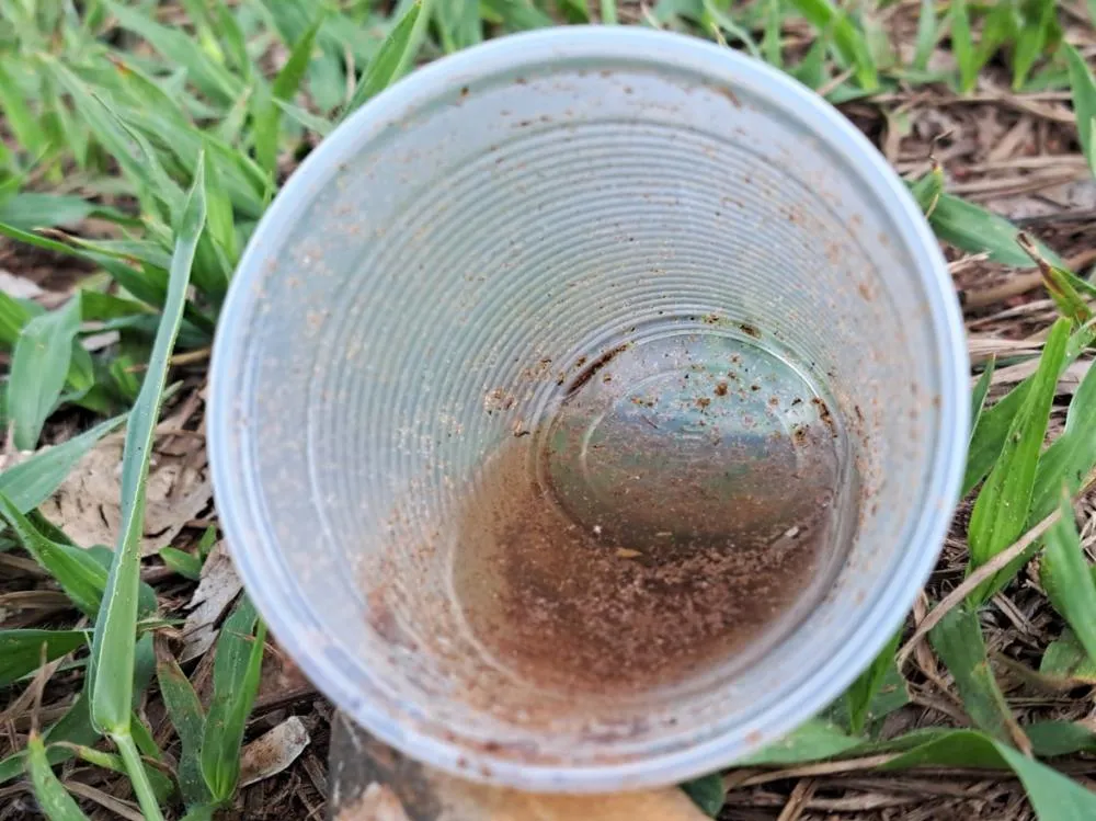 Marília registra média de 91 casos de dengue por dia; 26 óbitos confirmados