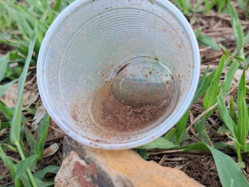 Taxa de incidência da dengue em Marília atinge 6.784,5 casos por 100 mil habitantes no primeiro semestre de 2025