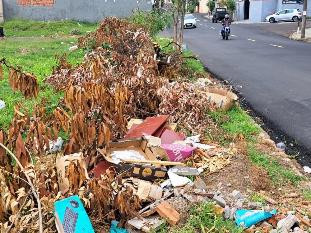 4. Mesmo com alta de casos e mortes por dengue, lixo segue sendo jogado em locais proibidos