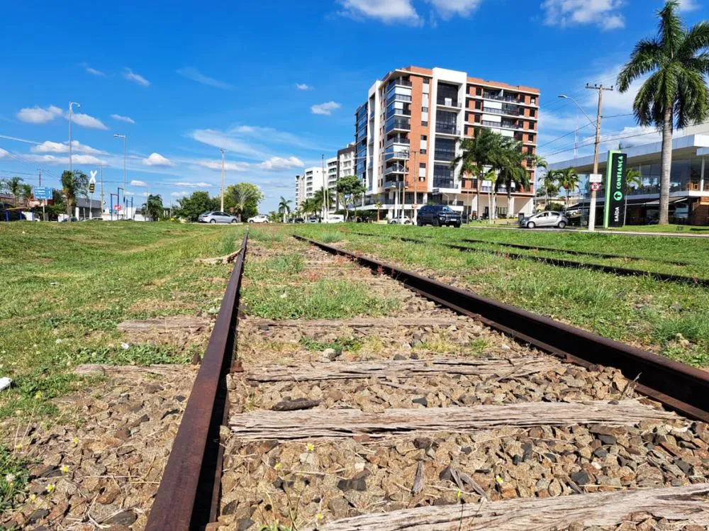 Manutenção ao longo da linha férrea foi realizada pela Prefeitura após omissão da Rumo