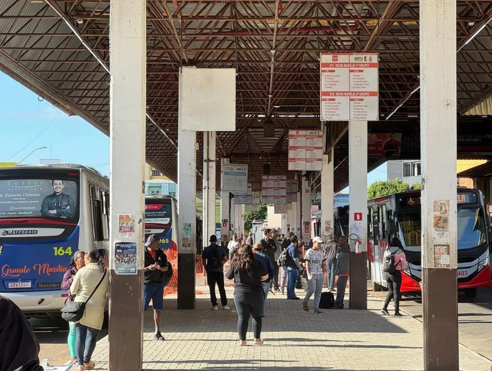 Membros do SAF se reunirão no Auditório da Prefeitura para definir o futuro do transporte coletivo - Foto: Divulgação/PMM
