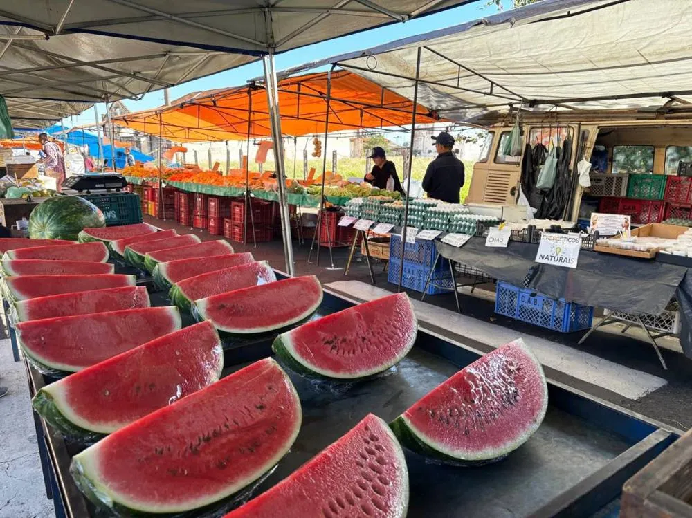 Feira de quinta-feira estreia novo endereço na Avenida das Indústrias
